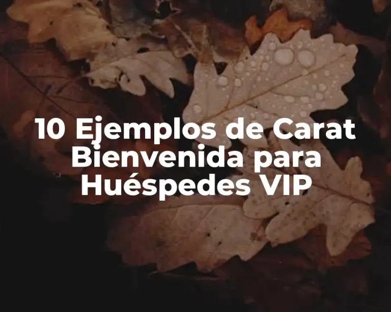 10 Ejemplos de Carat Bienvenida para Huéspedes VIP