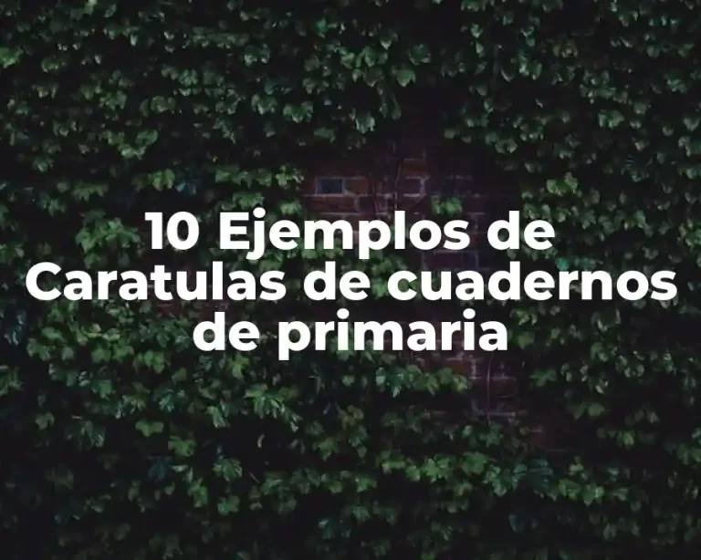 10 Ejemplos de Caratulas de cuadernos de primaria