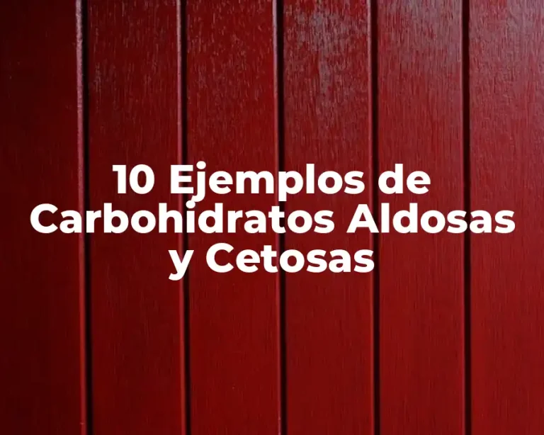 10 Ejemplos de Carbohidratos Aldosas y Cetosas