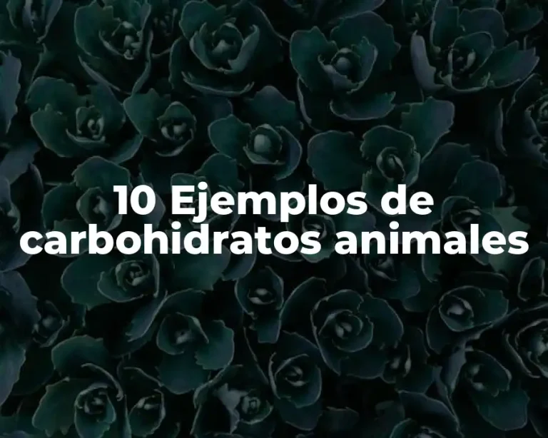 10 Ejemplos de carbohidratos animales