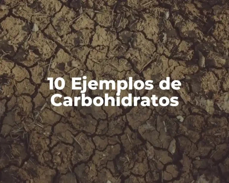10 Ejemplos de Carbohidratos