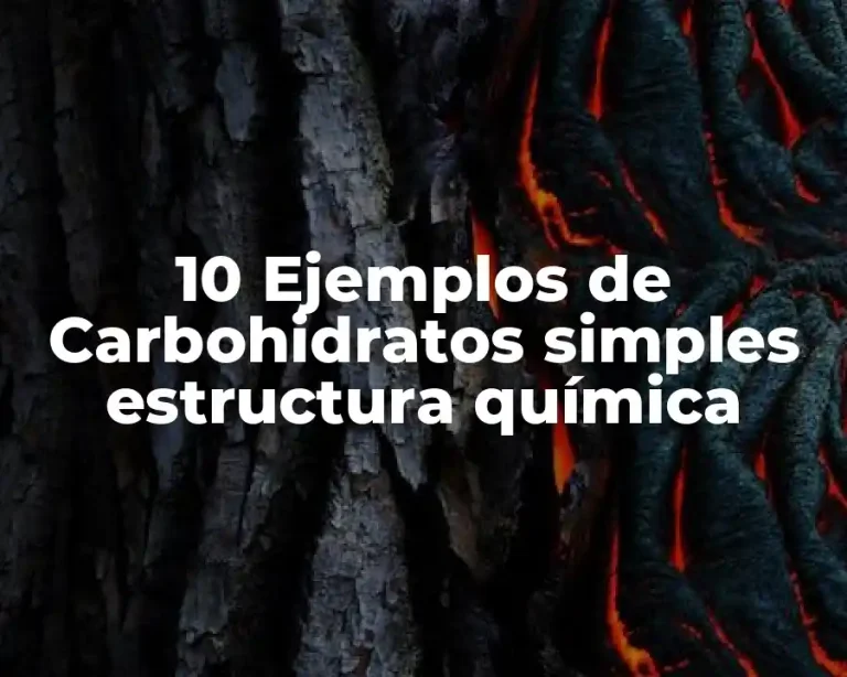 10 Ejemplos de Carbohidratos simples estructura química
