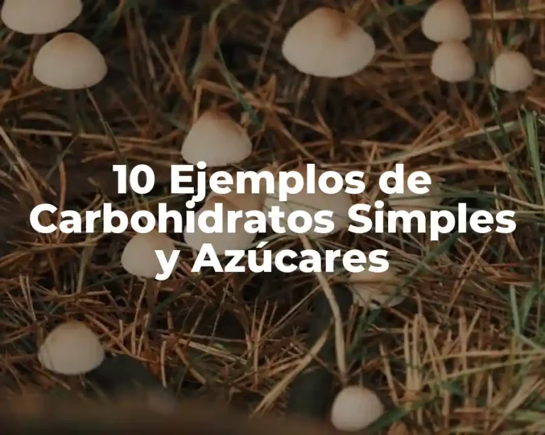 10 Ejemplos de Carbohidratos Simples y Azúcares