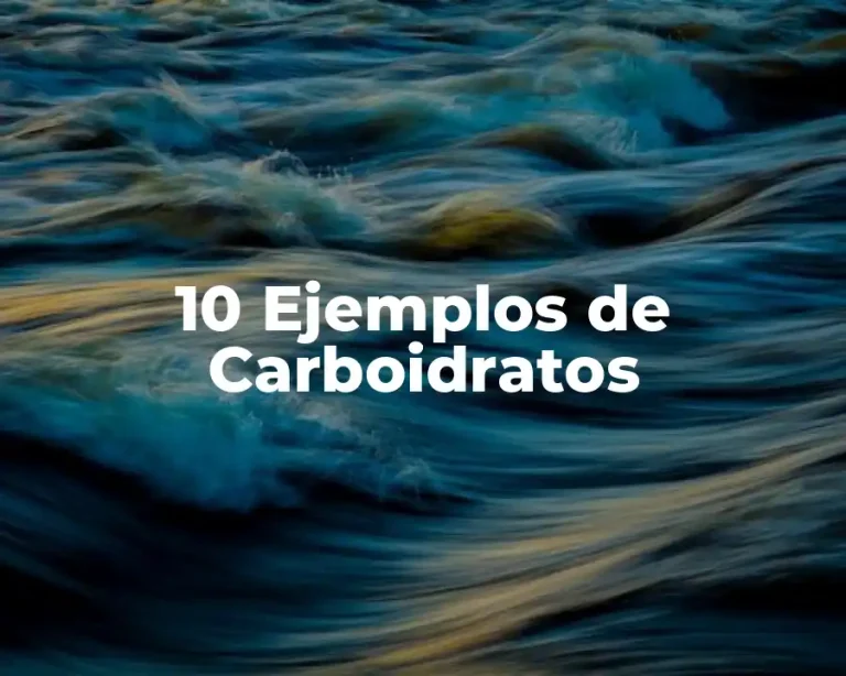 10 Ejemplos de Carboidratos