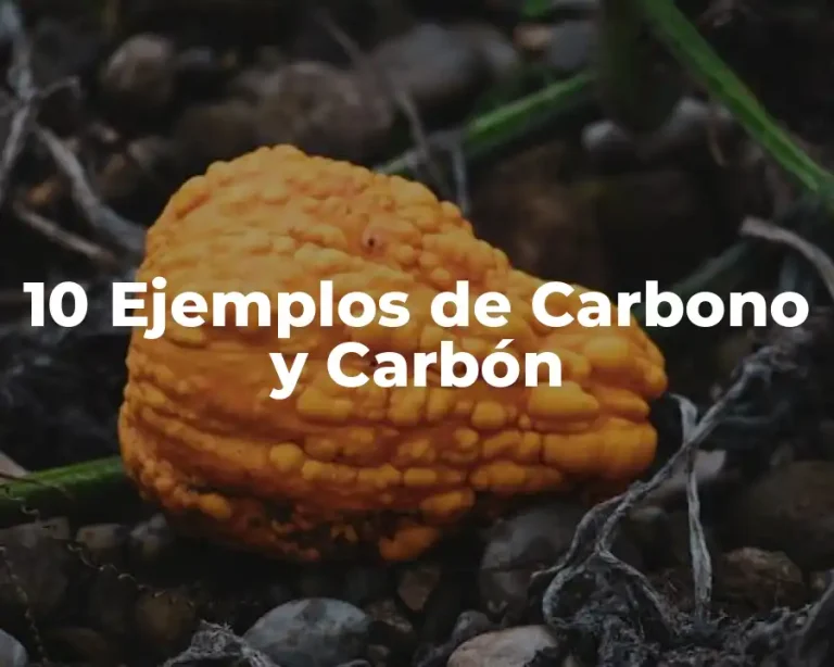 10 Ejemplos de Carbono y Carbón
