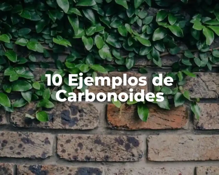 10 Ejemplos de Carbonoides