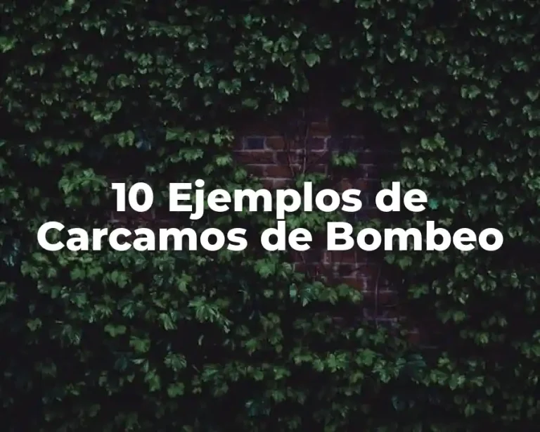 10 Ejemplos de Carcamos de Bombeo