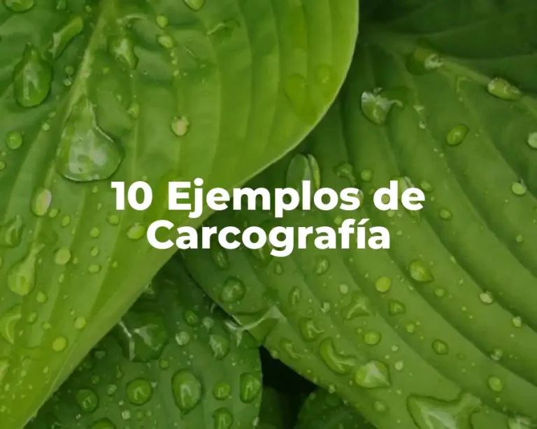 10 Ejemplos de Carcografía