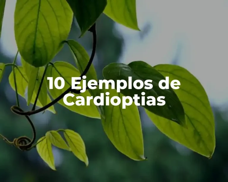 10 Ejemplos de Cardioptias