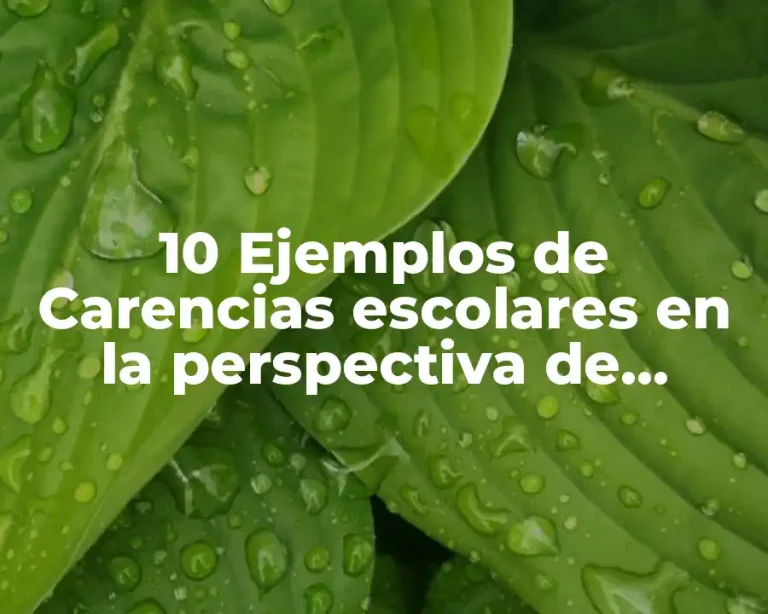 10 Ejemplos de Carencias escolares en la perspectiva de género