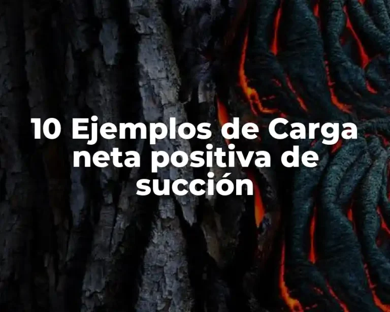 10 Ejemplos de Carga neta positiva de succión