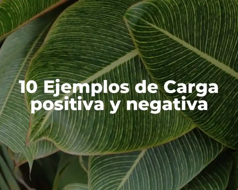 10 Ejemplos de Carga positiva y negativa