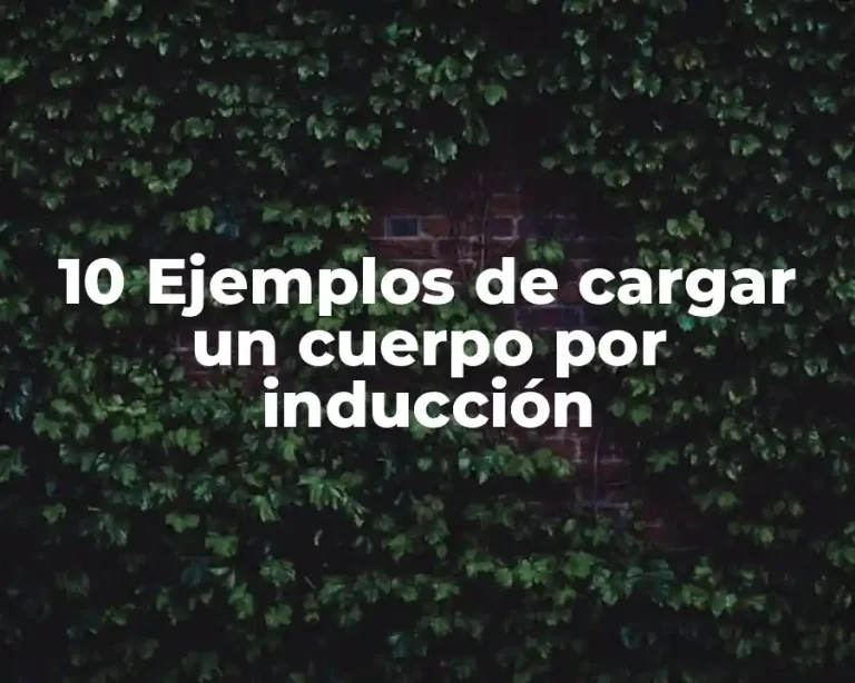 10 Ejemplos de cargar un cuerpo por inducción