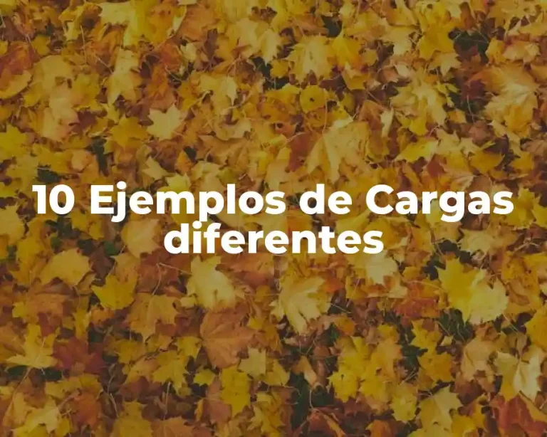 10 Ejemplos de Cargas diferentes