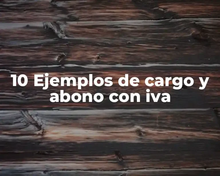 10 Ejemplos de cargo y abono con iva