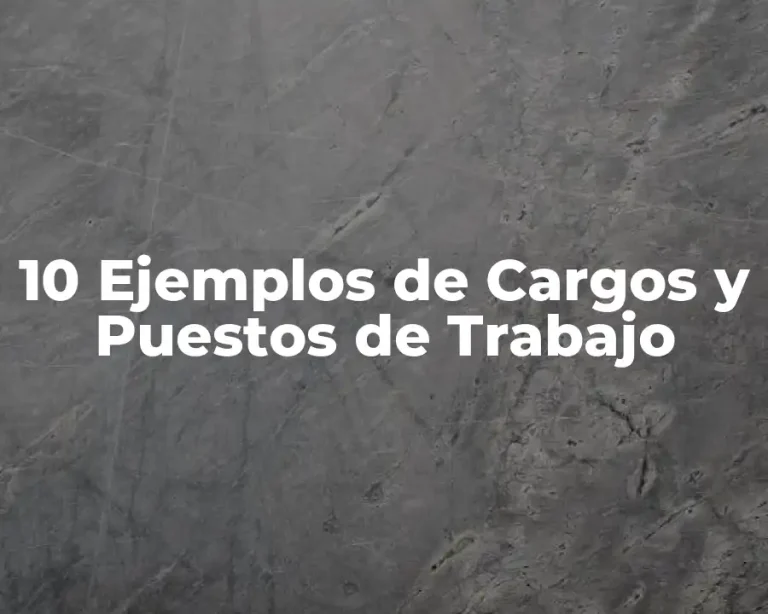 10 Ejemplos de Cargos y Puestos de Trabajo