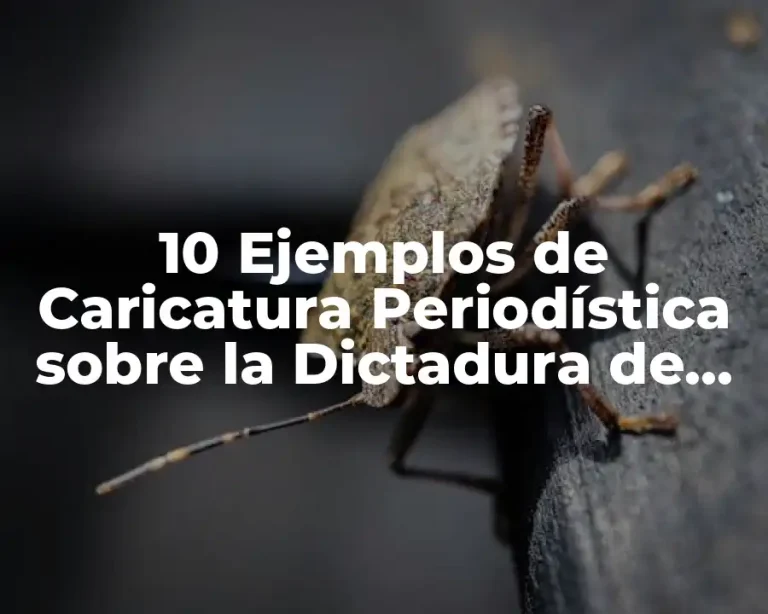 10 Ejemplos de Caricatura Periodística sobre la Dictadura de Porfirio Díaz