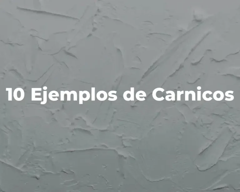 10 Ejemplos de Carnicos