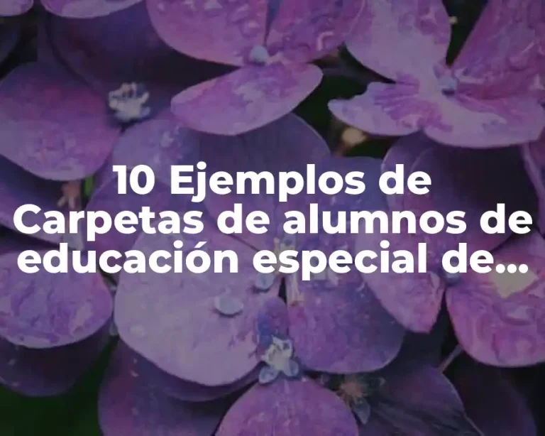10 Ejemplos de Carpetas de alumnos de educación especial de preescolar
