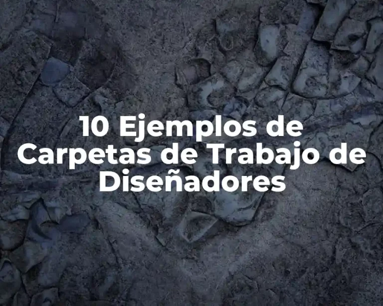 10 Ejemplos de Carpetas de Trabajo de Diseñadores