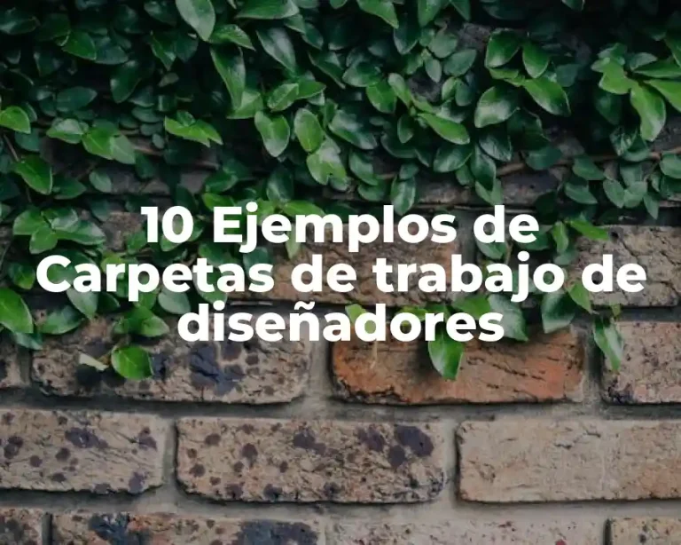 10 Ejemplos de Carpetas de trabajo de diseñadores