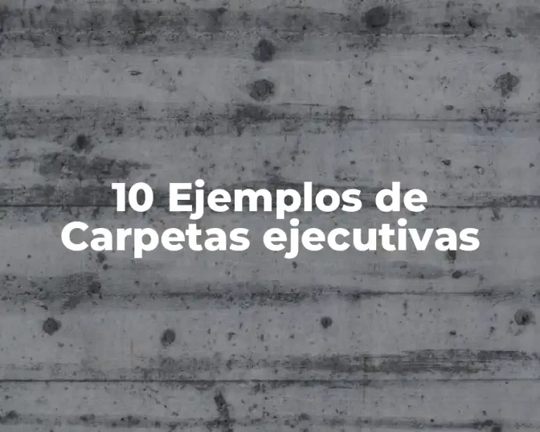 10 Ejemplos de Carpetas ejecutivas