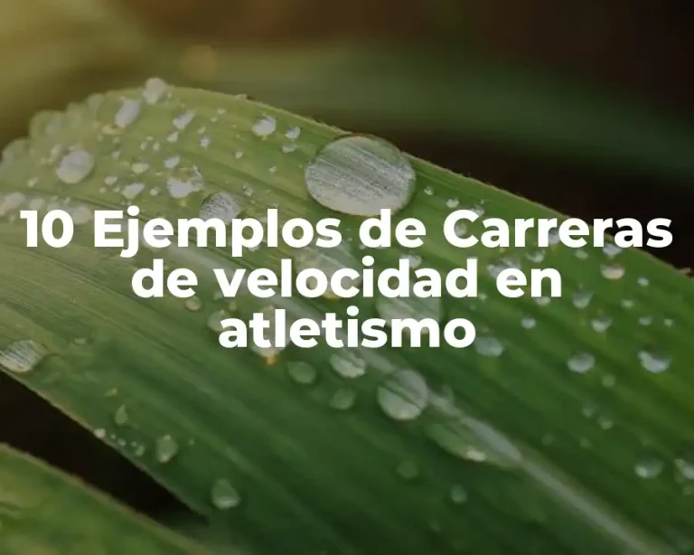 10 Ejemplos de Carreras de velocidad en atletismo