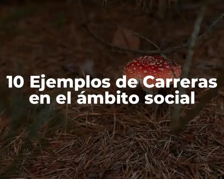 10 Ejemplos de Carreras en el ámbito social