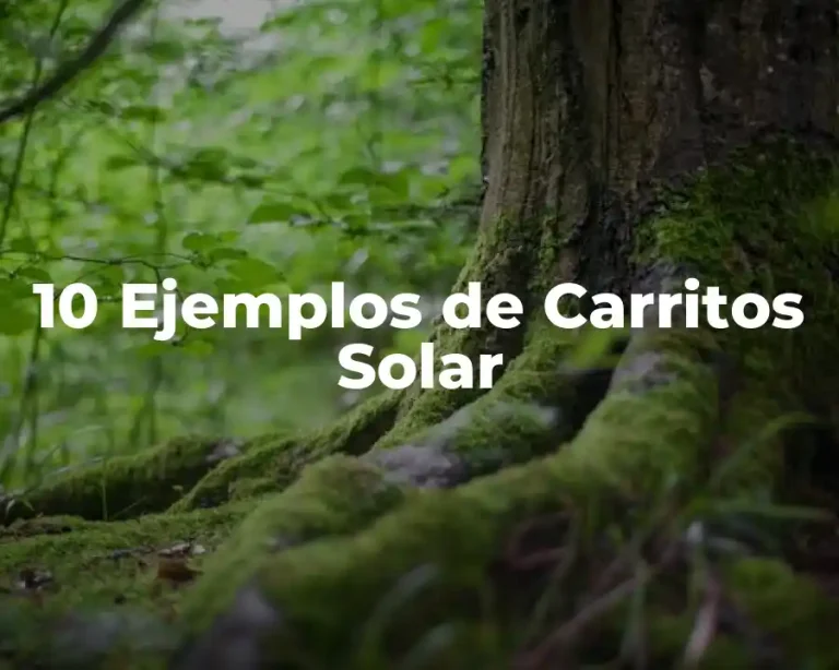 10 Ejemplos de Carritos Solar