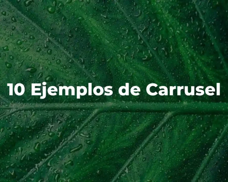 10 Ejemplos de Carrusel