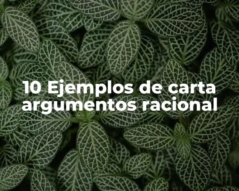 10 Ejemplos de carta argumentos racional