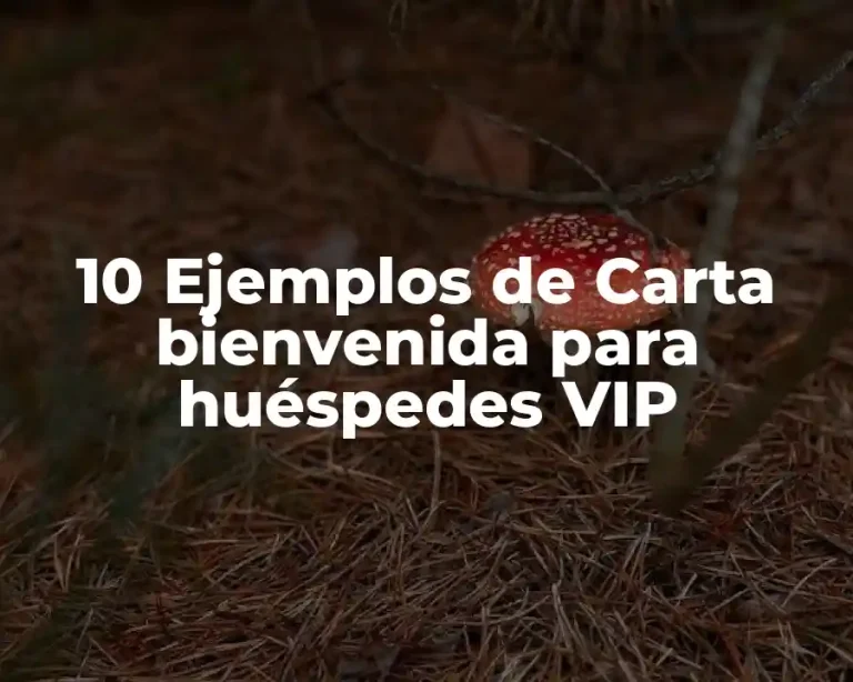 10 Ejemplos de Carta bienvenida para huéspedes VIP