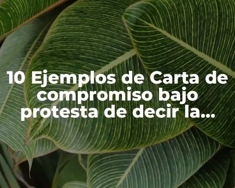 10 Ejemplos de Carta de compromiso bajo protesta de decir la verdad