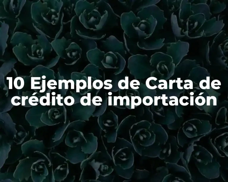10 Ejemplos de Carta de crédito de importación