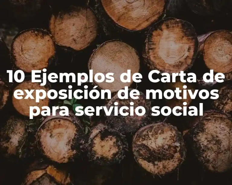 10 Ejemplos de Carta de exposición de motivos para servicio social
