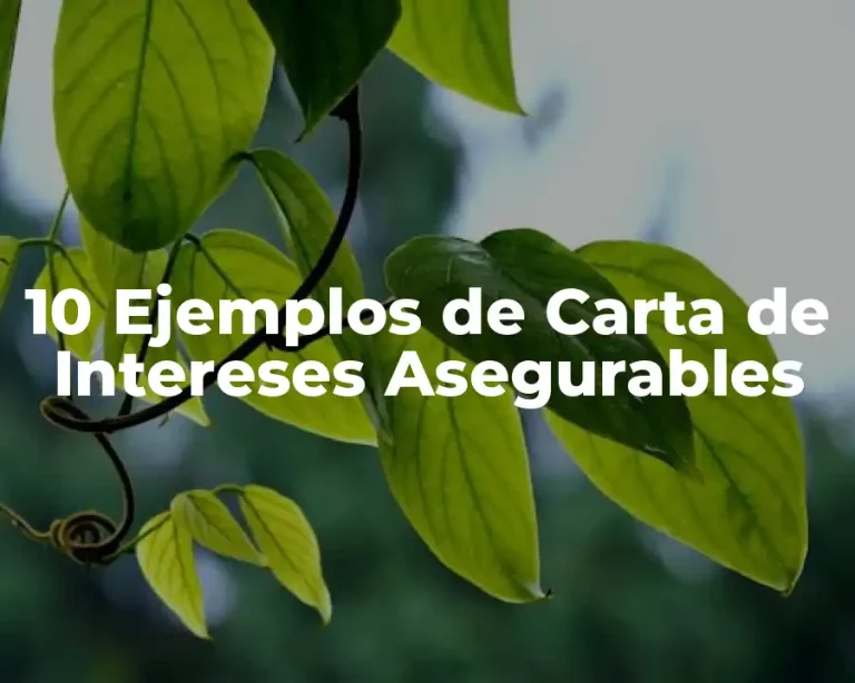 10 Ejemplos de Carta de Intereses Asegurables