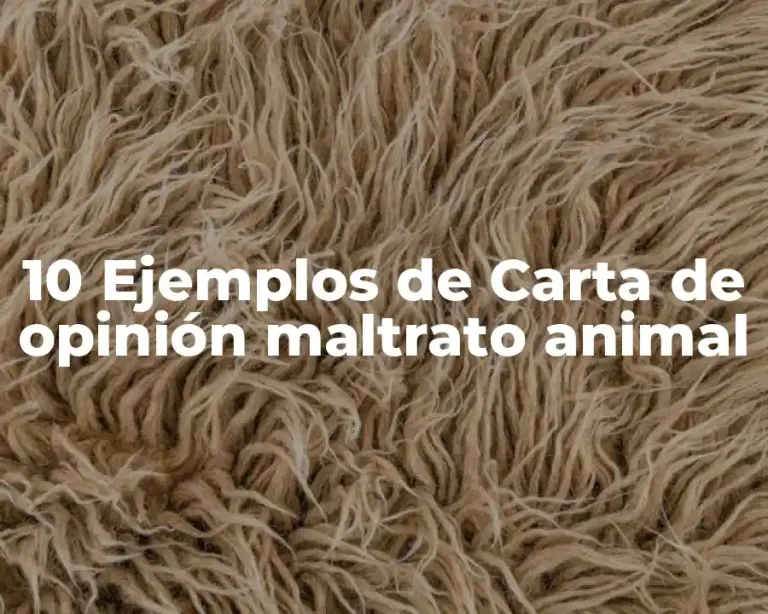 10 Ejemplos de Carta de opinión maltrato animal