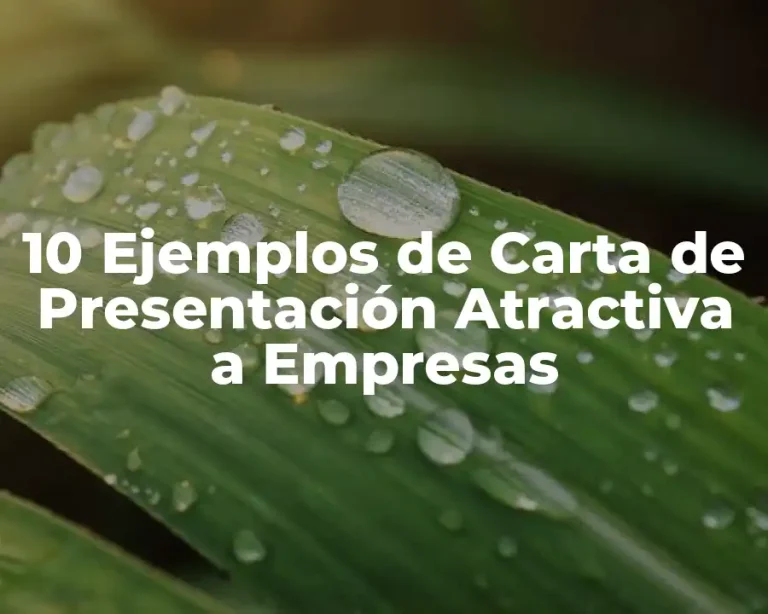 10 Ejemplos de Carta de Presentación Atractiva a Empresas