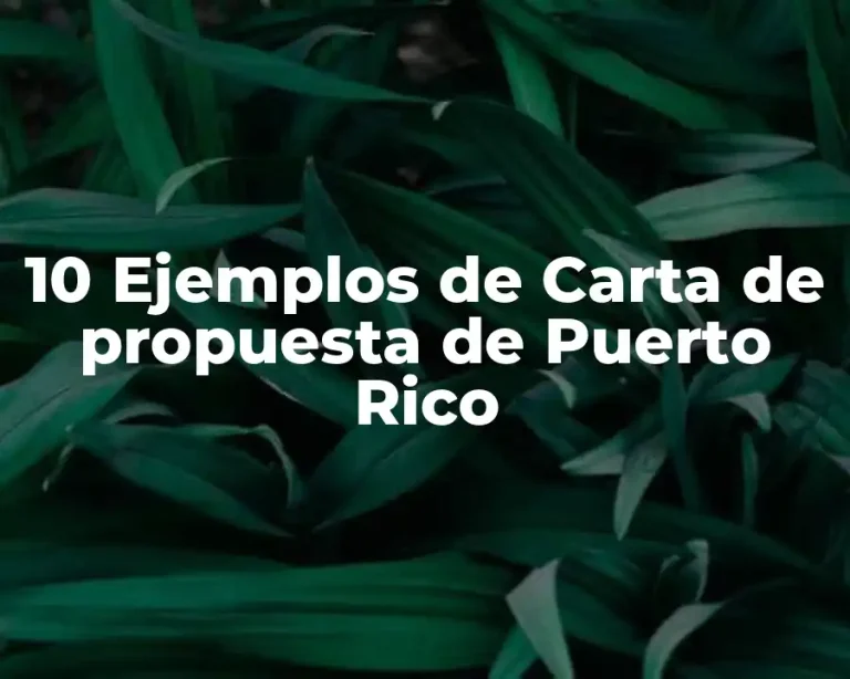 10 Ejemplos de Carta de propuesta de Puerto Rico