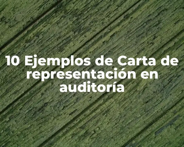 10 Ejemplos de Carta de representación en auditoría