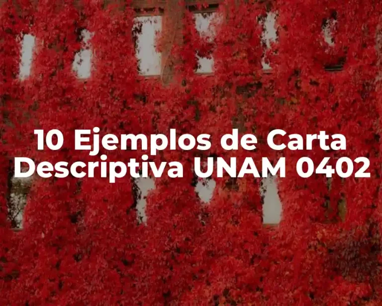 10 Ejemplos de Carta Descriptiva UNAM 0402