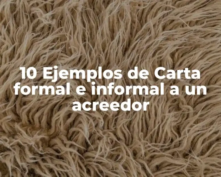 10 Ejemplos de Carta formal e informal a un acreedor