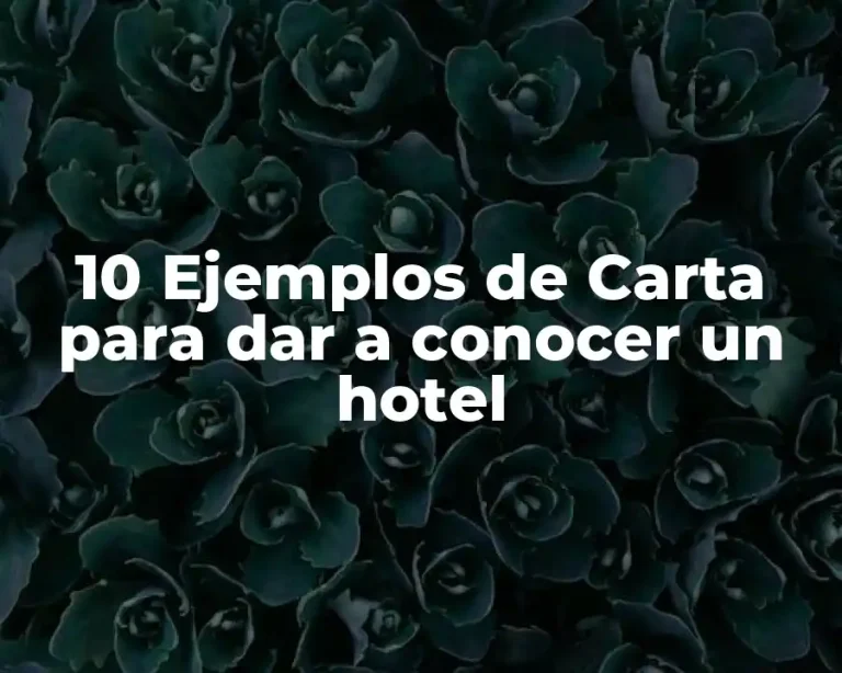 10 Ejemplos de Carta para dar a conocer un hotel