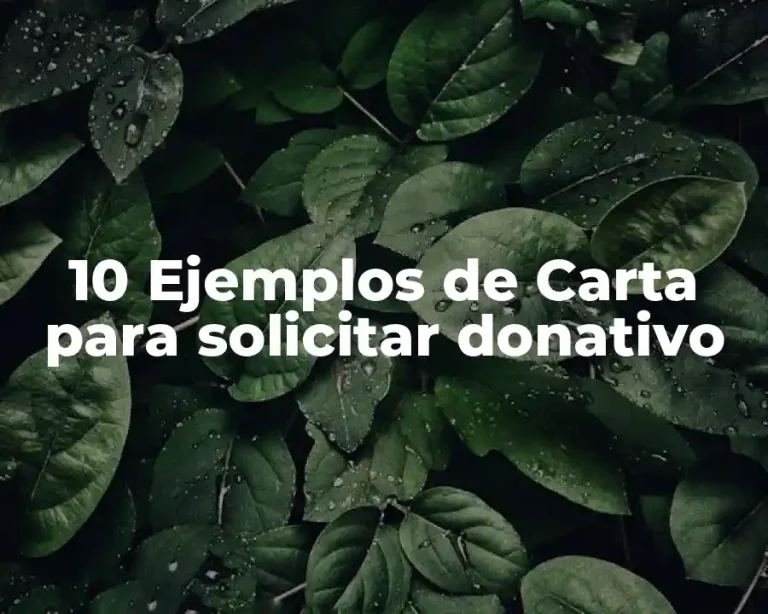10 Ejemplos de Carta para solicitar donativo