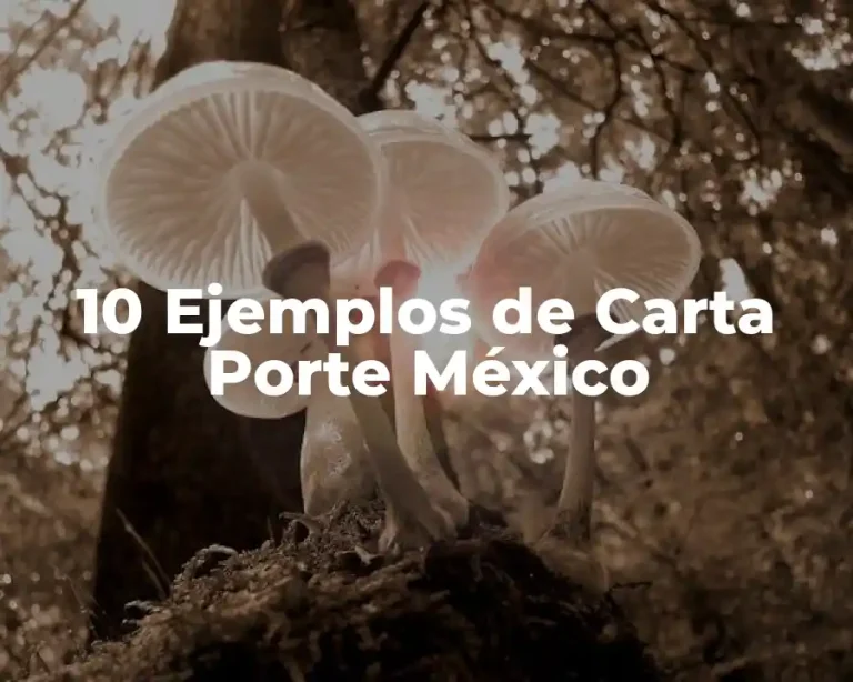 10 Ejemplos de Carta Porte México