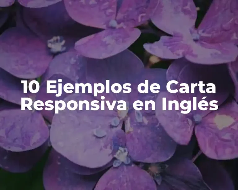 10 Ejemplos de Carta Responsiva en Inglés