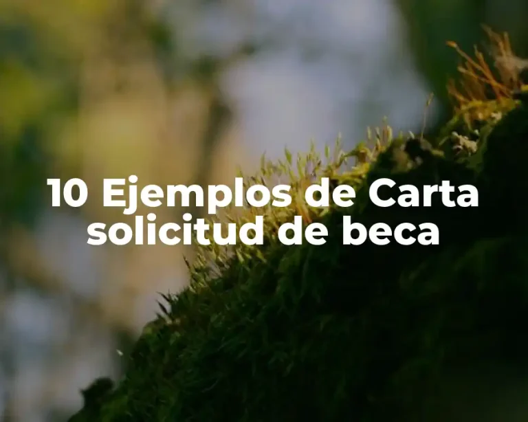 10 Ejemplos de Carta solicitud de beca