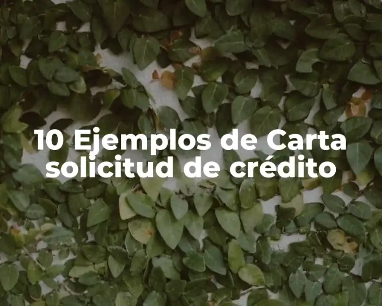 10 Ejemplos de Carta solicitud de crédito