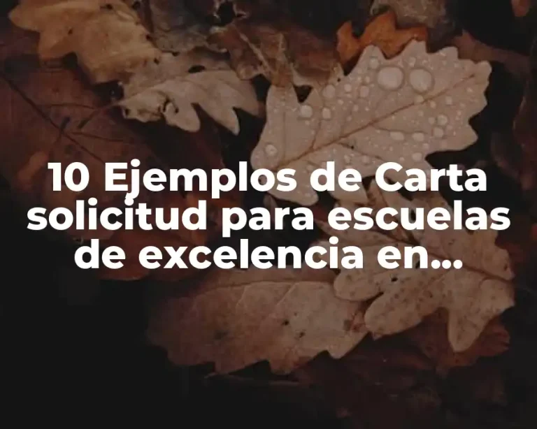 10 Ejemplos de Carta solicitud para escuelas de excelencia en Oaxaca