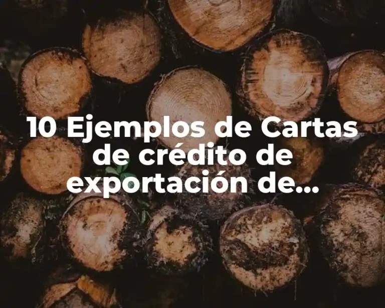 10 Ejemplos de Cartas de crédito de exportación de Bancomext